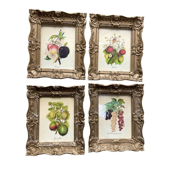 Vtg Burwood Botanical Fruit Prints Set 4 Ornate Gold Frame Hollywood Regency 60s - Picture 6 of 6